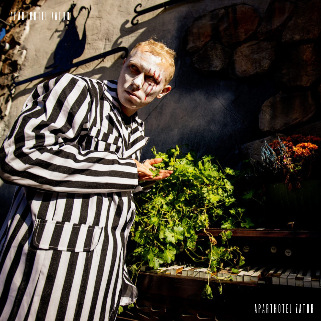 APARTHOTEL ZATOR (9)